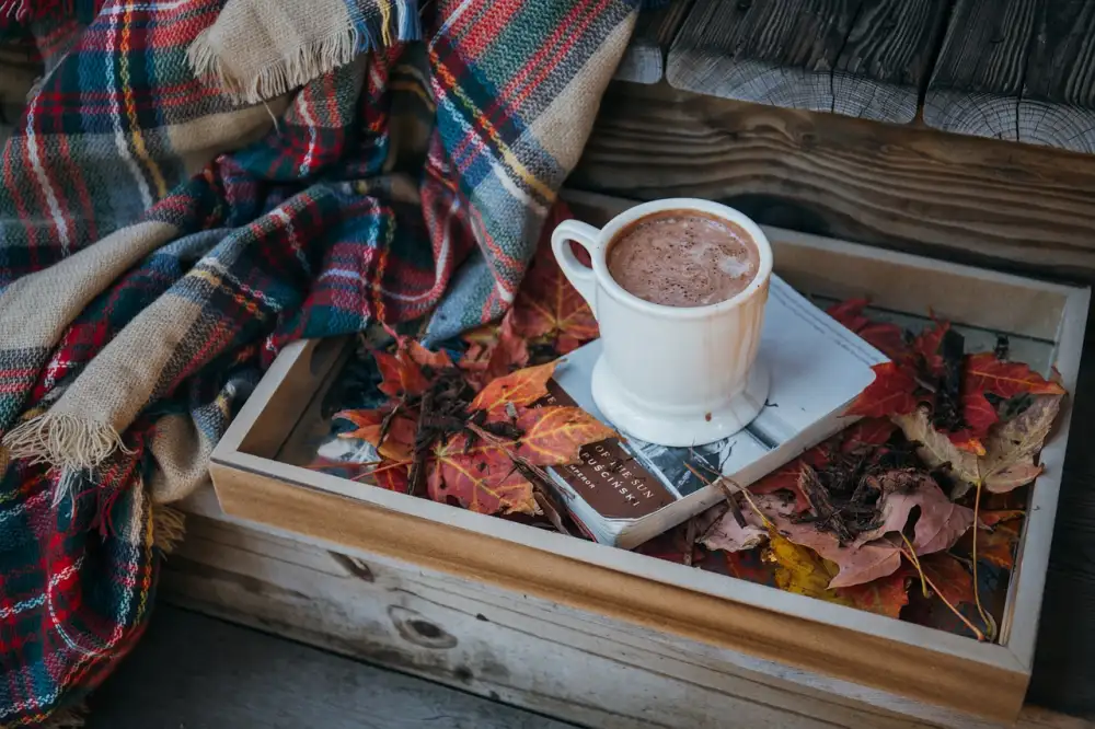 Hot Chocolate